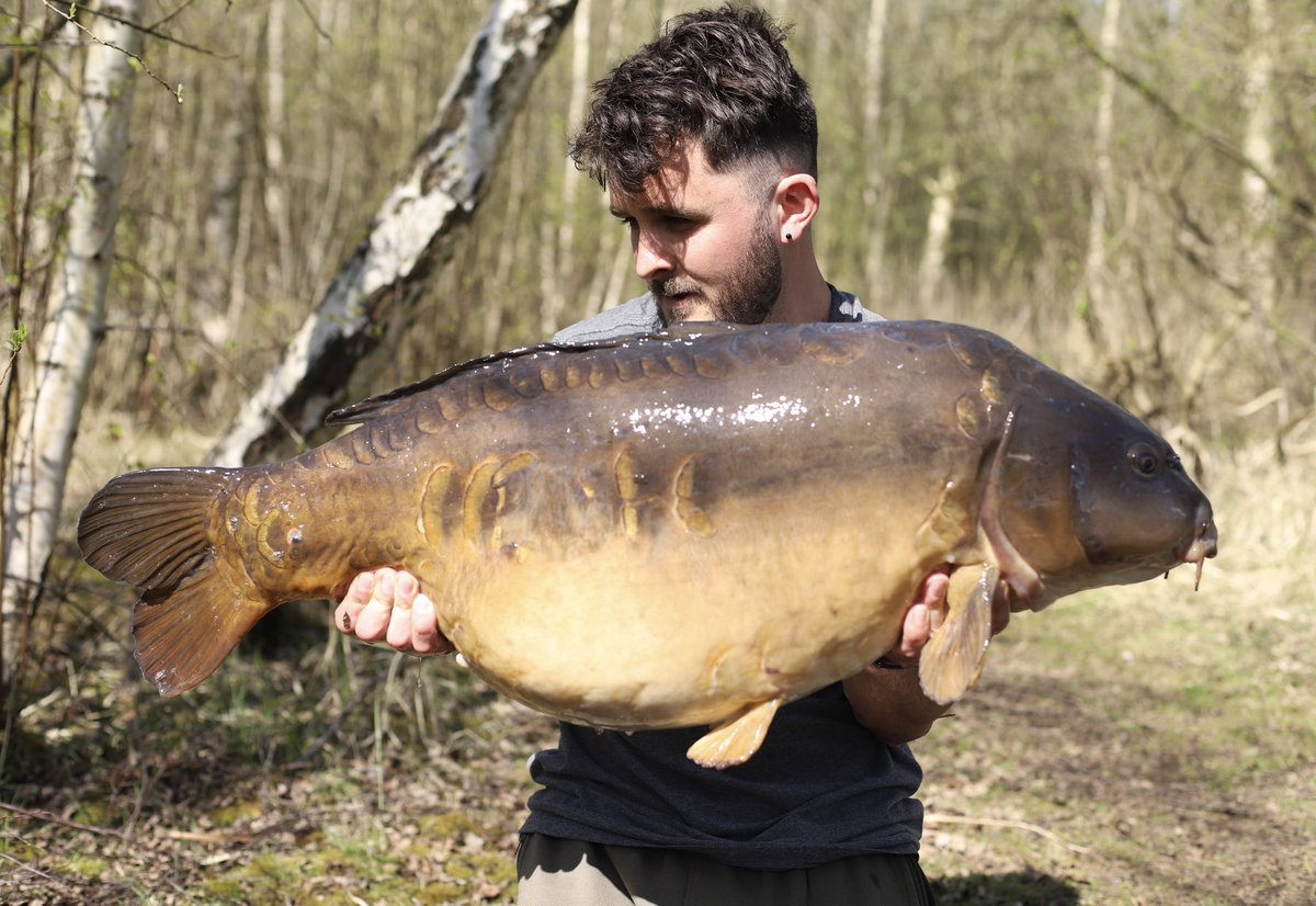 dalencfc's tweet image. 🐋