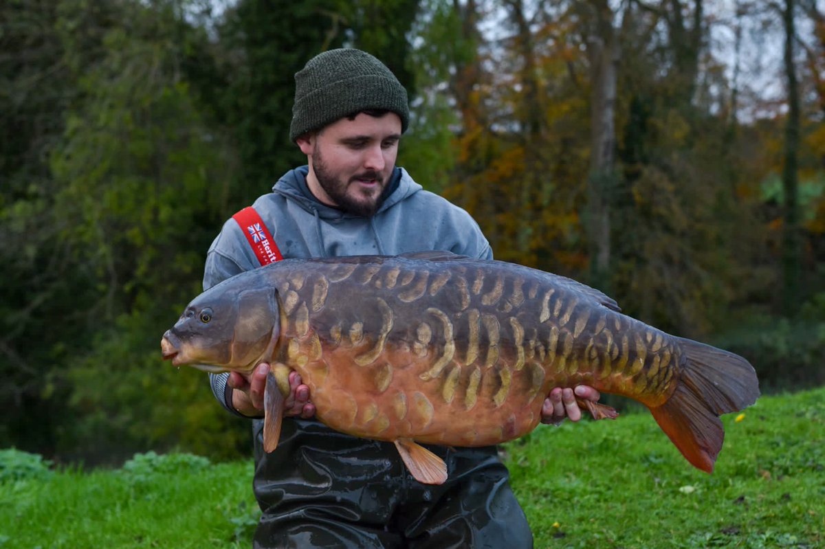 dalencfc's tweet image. 🐋