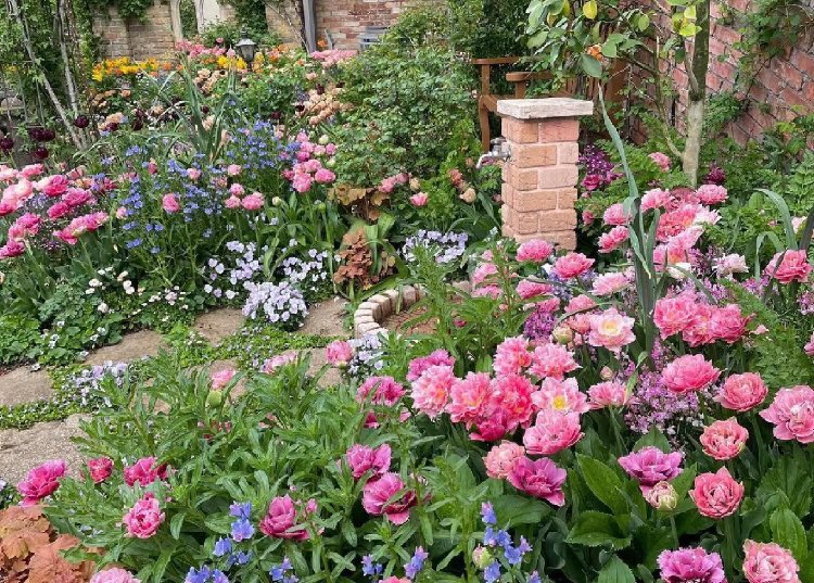 piinkibun's tweet photo. secret garden https://t.co/j1Snf5boqC