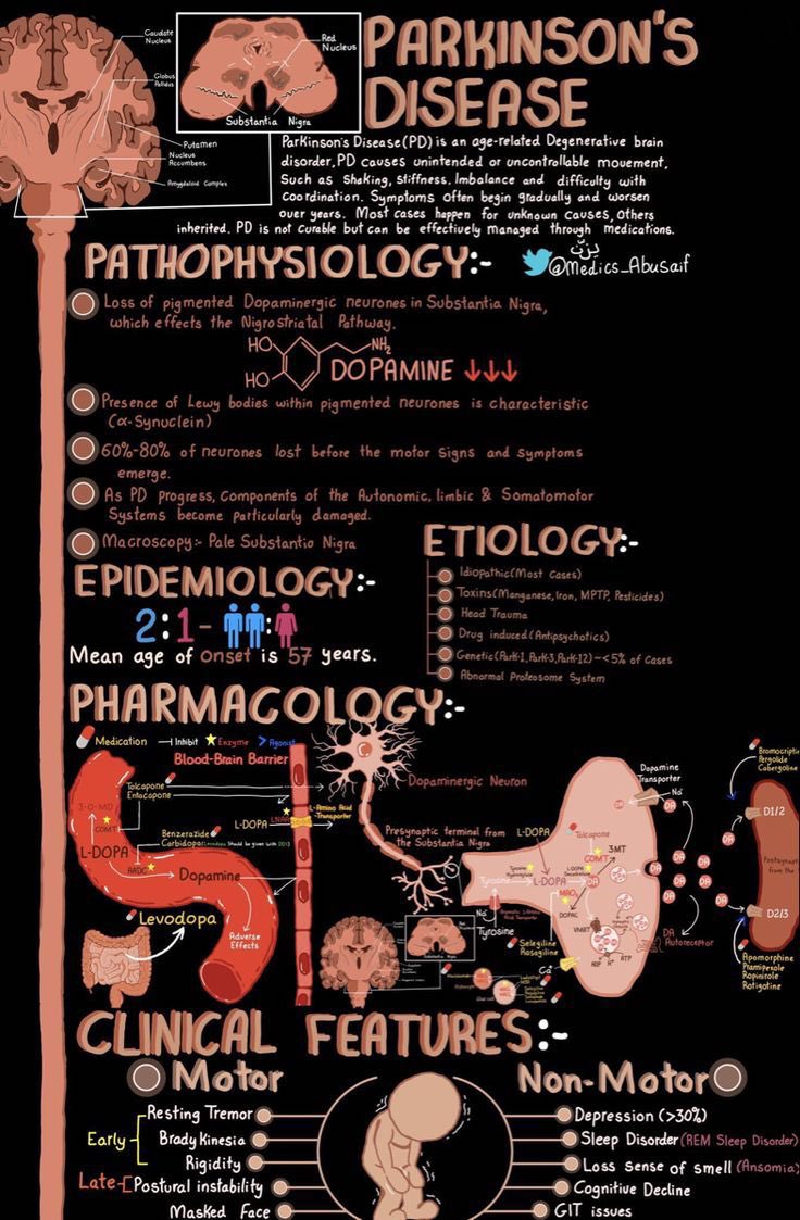 DrPharmDMDTh's tweet photo. PARKINSON'S DISEASE

My TikTok https://t.co/kBGGf0BYwE https://t.co/DawviwwXUN