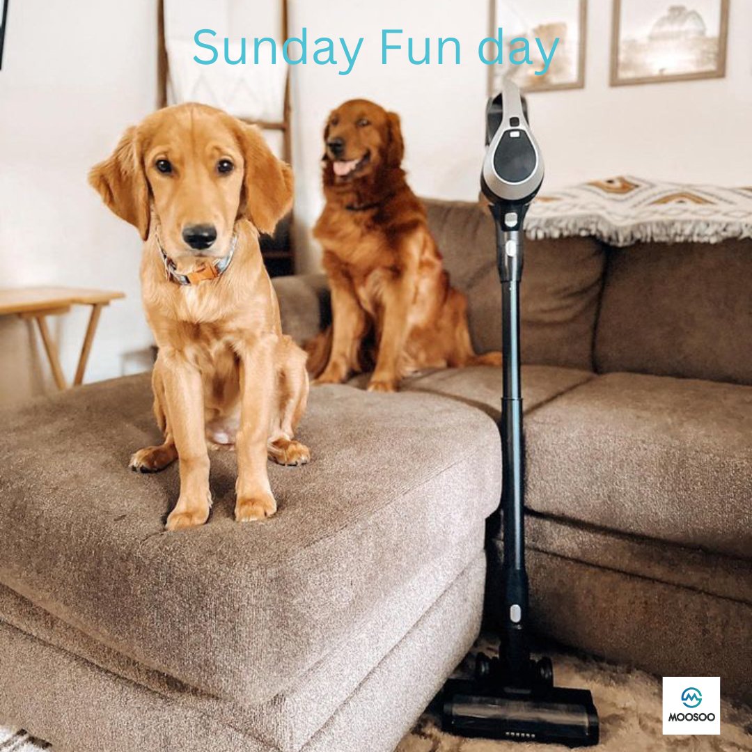 The weekend is the best time for taking of the pet? Cleaning routine is so important for them, looking for the best helper on market? Get our Moosoo TC1-Pro only for 129.99$
Shop here: imoosoo.com/collections/co…
#Moosoo #moosootc1 #cleaningpethair #pethair #cleanwithus
