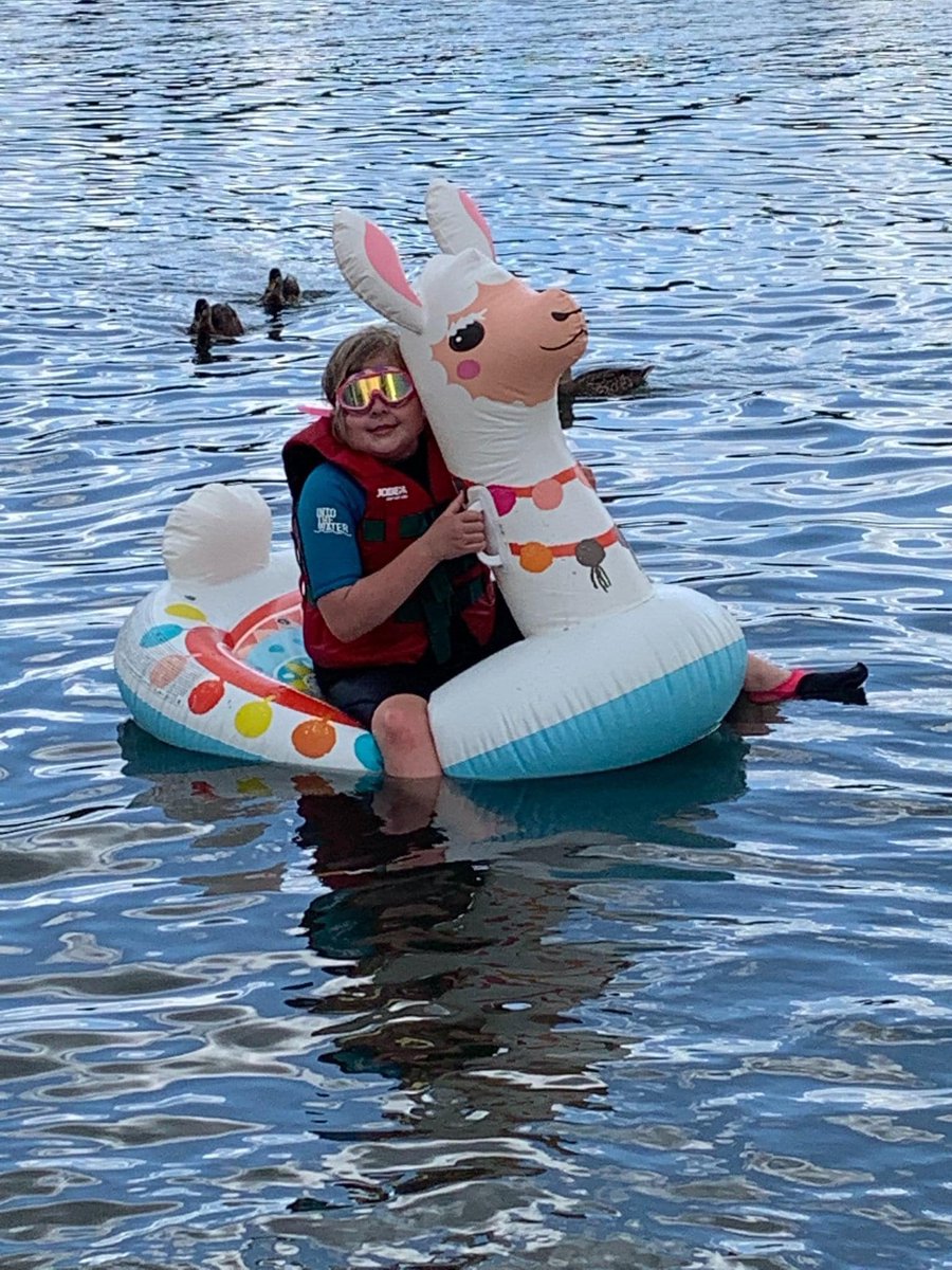 FiFi's Vision C.I.C tweet media