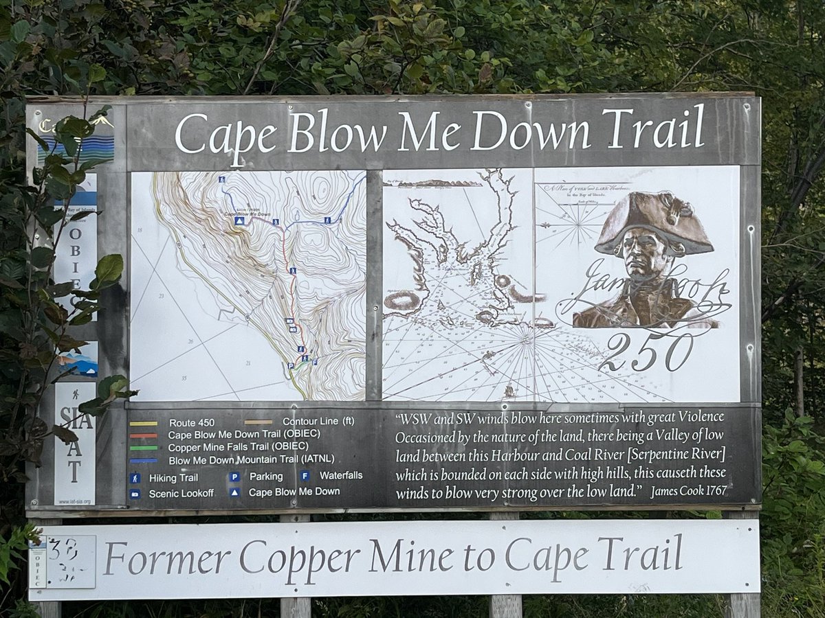 Dee Boyd (She/ Her) tweet media