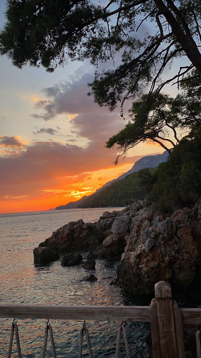 Taner Dursun (@tanerdursun) on Twitter photo 