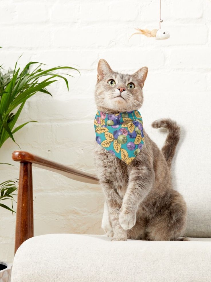 HumbleAttitude1's tweet photo. Blueberry Pattern Pet Bandana
https://t.co/CTzoc3b5KN
#redbubble @redbubble #blueberries #blueberry #petsaccessories #bandana #petbandana #fruit #shopping #giftideas https://t.co/DrwyloeYwl