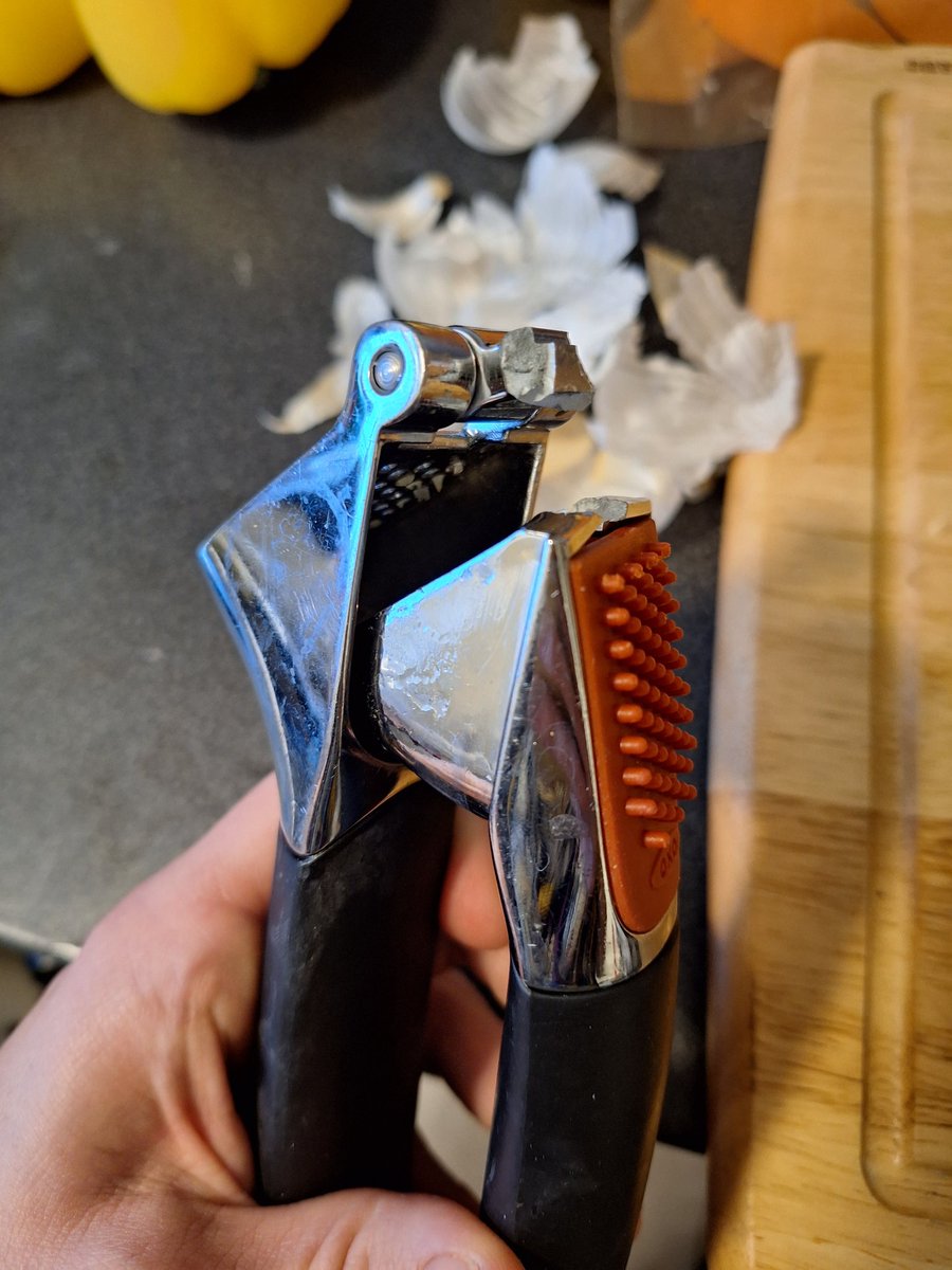 Vandræðalega mómentið þegar þú ert það helbólgin og hrikaleg að þú brýtur hvítlaukspressuna í tvennt með Einari þegar þú ert að elda kvöldmatinn.