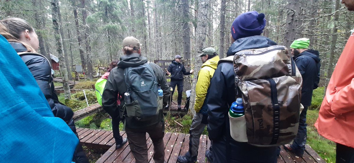 Carri Project tweet media