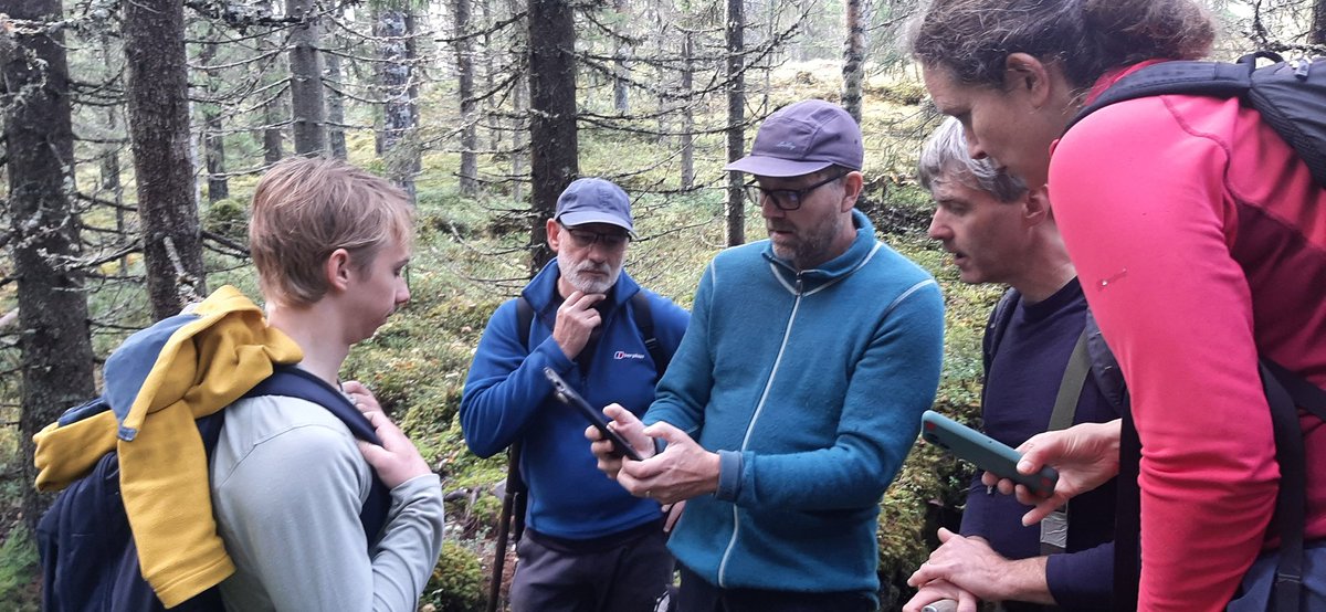 Carri Project tweet media