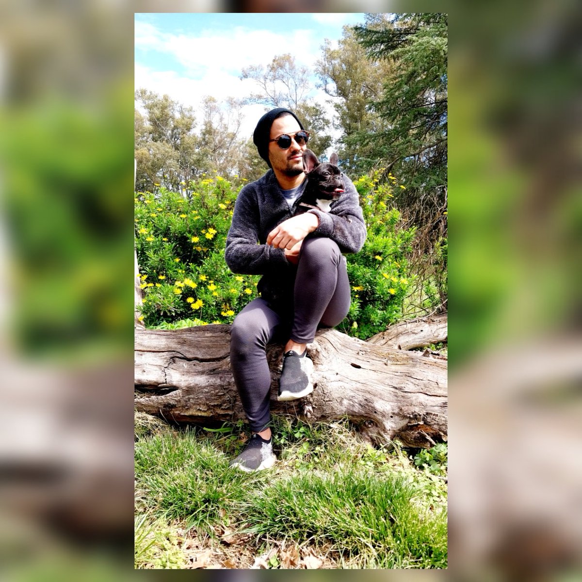 Wilfrequeimo tweet picture