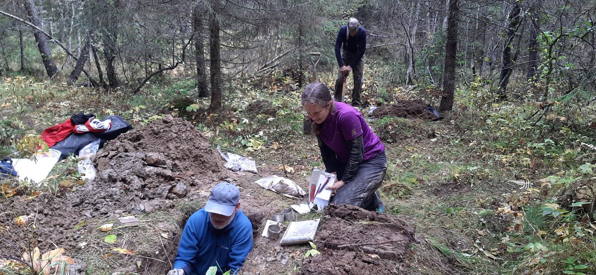 Carri Project tweet media