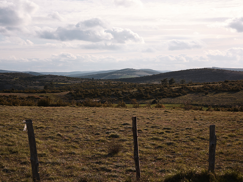 AtelierTuffery's tweet photo. Bienvenue dans notre environnement, une atmosphère imprégnée de nature, d'expertise et de savoir-faire où nous créons des pièces en denim résistantes et respectueuses de l'environnement.
#nature #landscape #ateliertuffery #lozere #denim #modeethique https://t.co/9jejIdj2LY