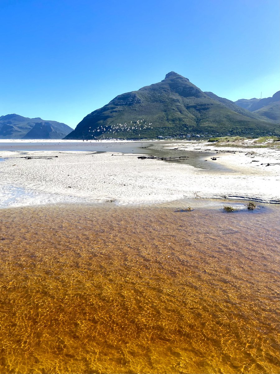 ScheepersTracy's tweet photo. Long walks on the beach 🥰
Noordhoek to Kommetjie this morning, takes my breath away every single time… https://t.co/6d6LL4qZgQ