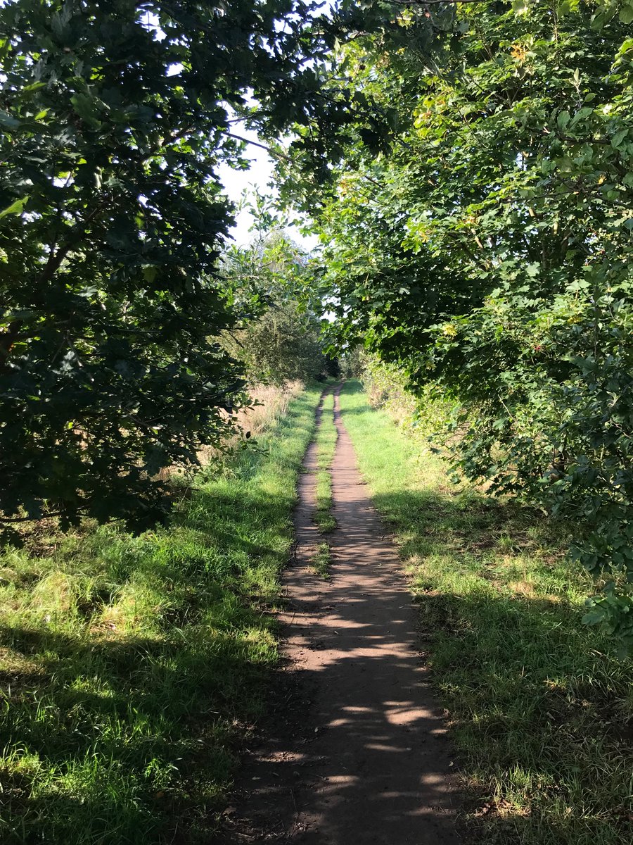 “A culture is no better than its woods”: WH Auden, Bucolics II.

So many woods are threatened by developers. We must protect our precious trees &amp; woodland before it’s too late for our trees and for us. #ClimateEmergency 

<a href="/bolehillwood/">Friends of Bolehill Wood</a> <a href="/ryebankfields/">Save RyeBank Fields 🍃💚🍃</a>  <a href="/CardiffSave/">Save the Northern Meadows 🍃💚🍃</a> <a href="/ReforestB/">Reforest Britain</a>