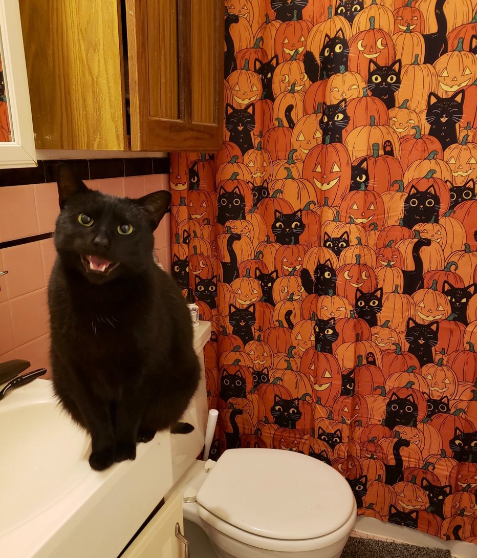 ITS SPOOKY SEASON