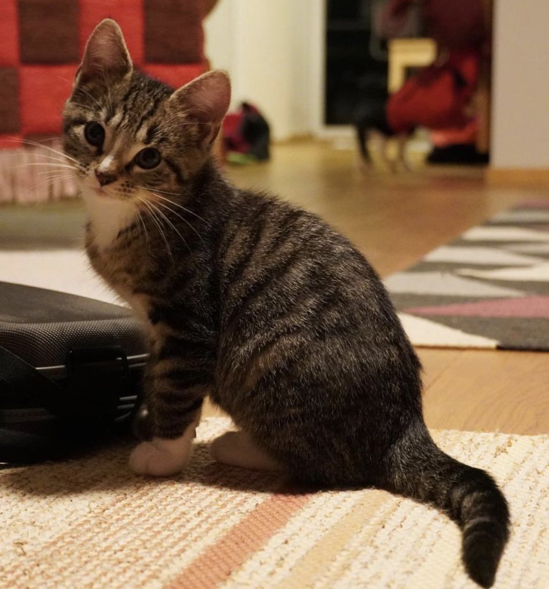 Jussi Seppänen tweet media