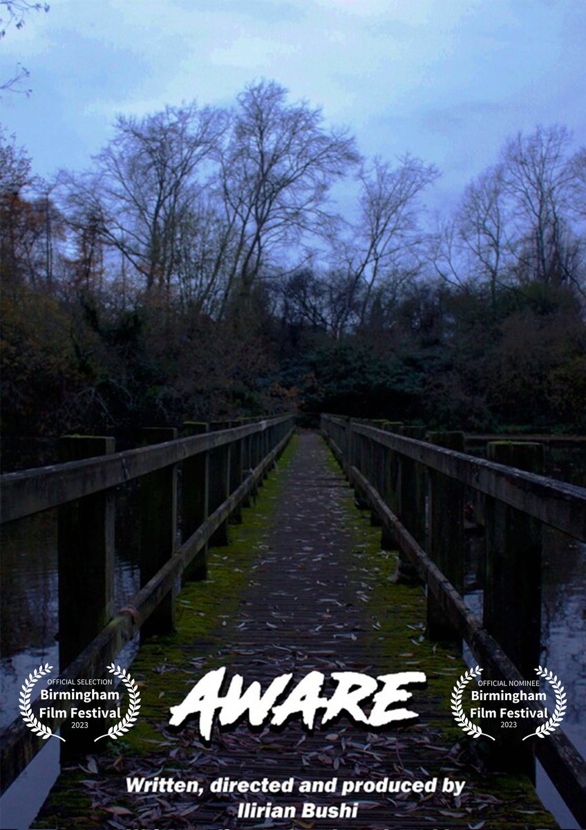 IlirianBushiAct's tweet photo. Can't wait to see my #ShortFilm #Aware on the big screen at  #MillenniumPoint @BHAMFILMFEST on Thursday 23rd November 
#OfficialSelection #OfficialNominee 
#BestMicroShort #BestYoungFilmmaker 
Composer @glennmaltman https://t.co/QrzypntrZl