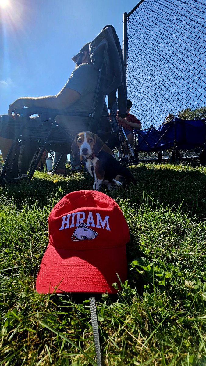 JJHGreco's tweet photo. GO DAWGS!!!!!!! https://t.co/tcGJ2hsjox
