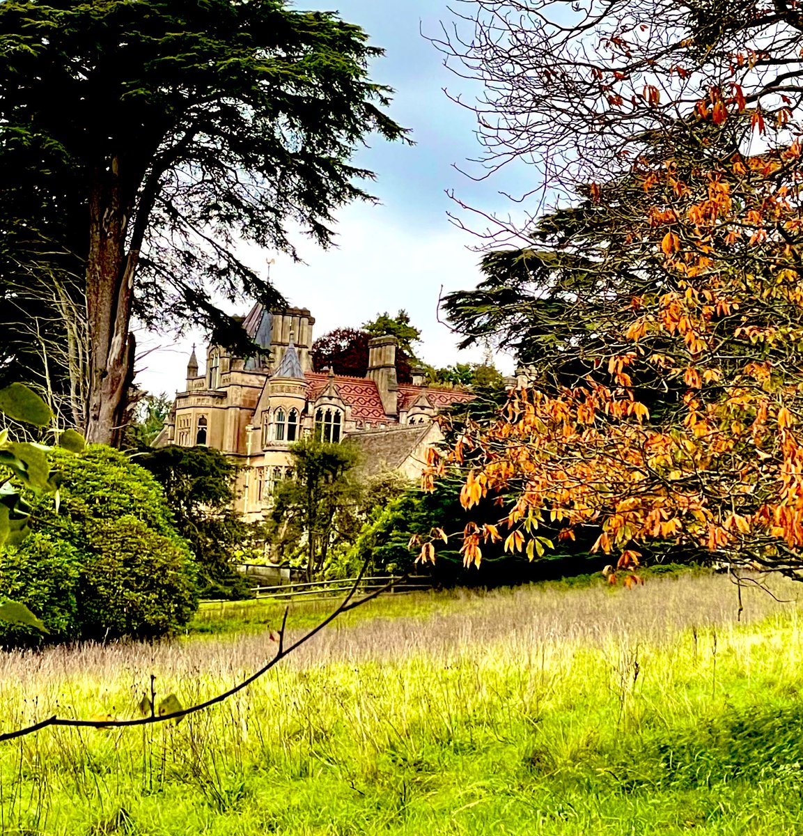 BrisVADAR's tweet photo. Lovely visit to @TyntesfieldNT - beautiful house &amp; gardens! The butterflies were really showing off this afternoon!! 🦋🦋🦋 https://t.co/KUlX21XrCD
