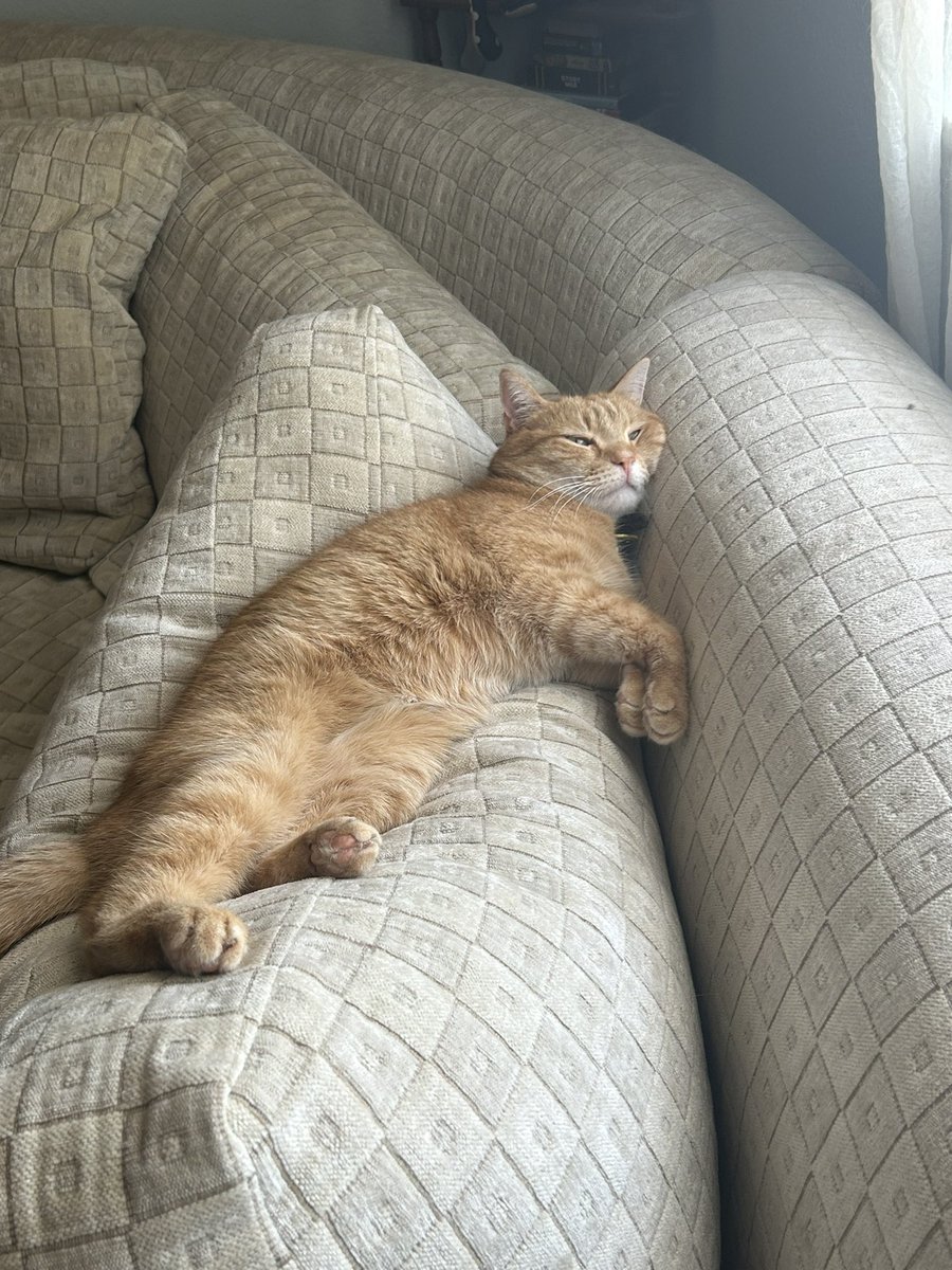 squimched