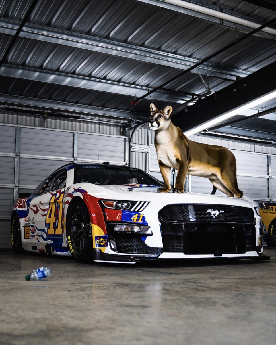 We felt like it was missing something