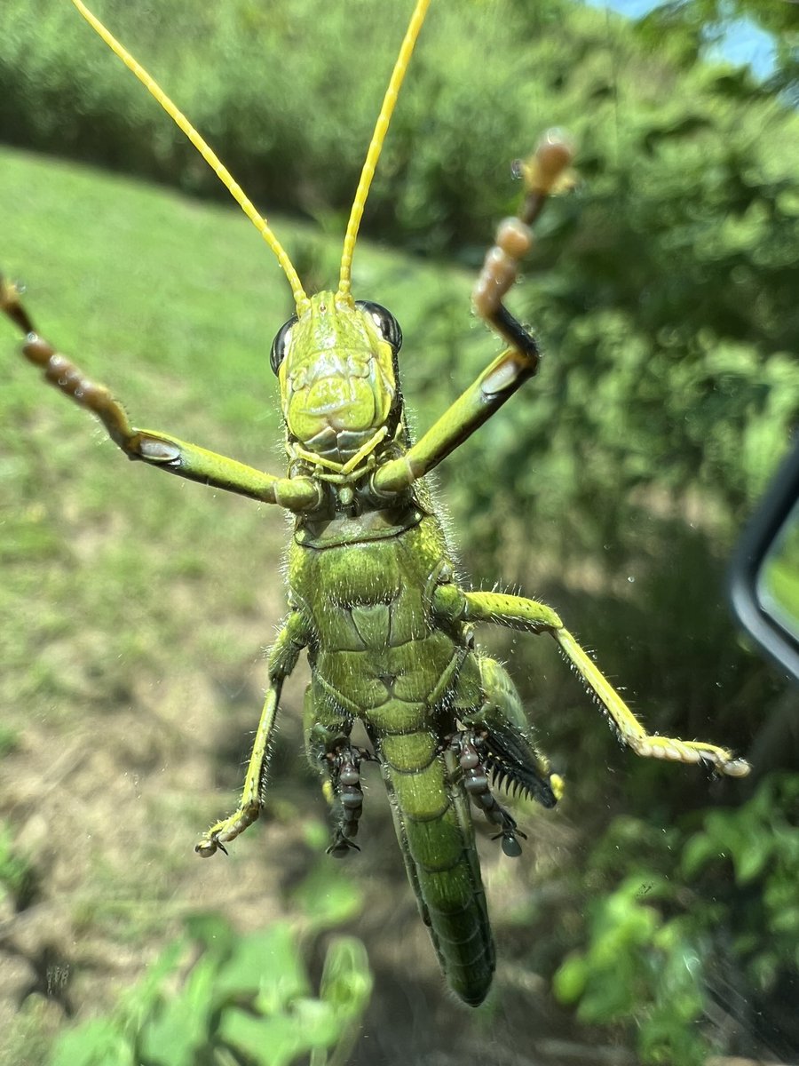We’re OPEN this afternoon until 4pm. Y’all HOP on by and see us!