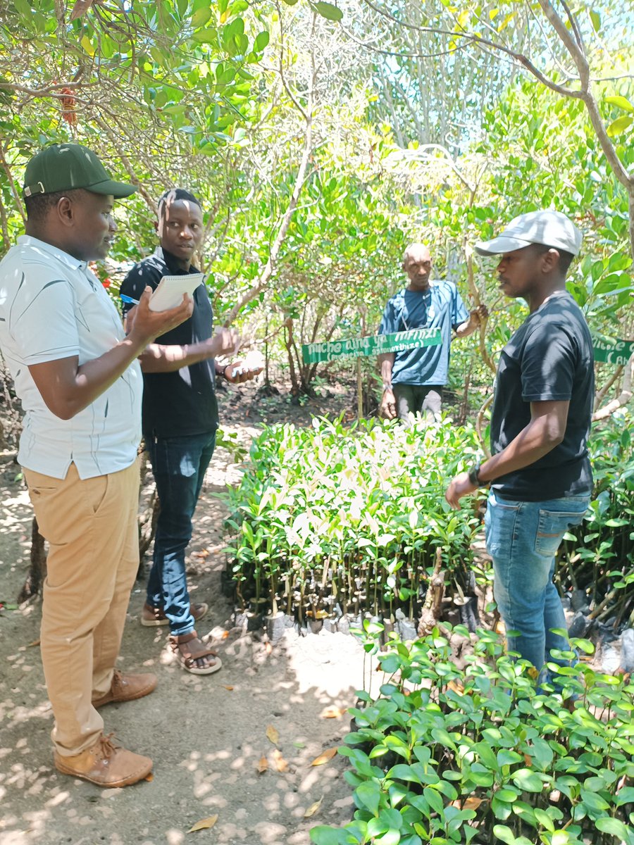 Aqua-Farms Organization tweet media