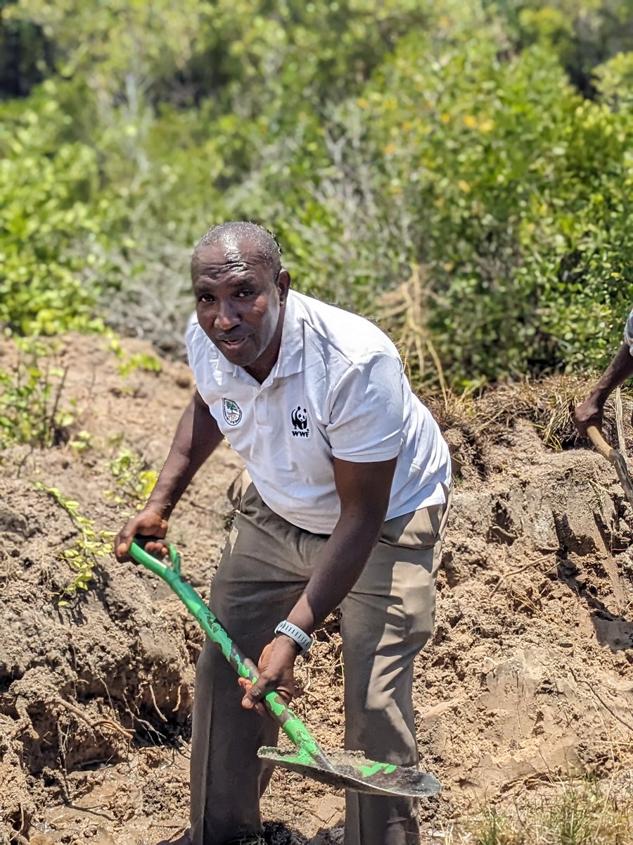 Aqua-Farms Organization tweet media