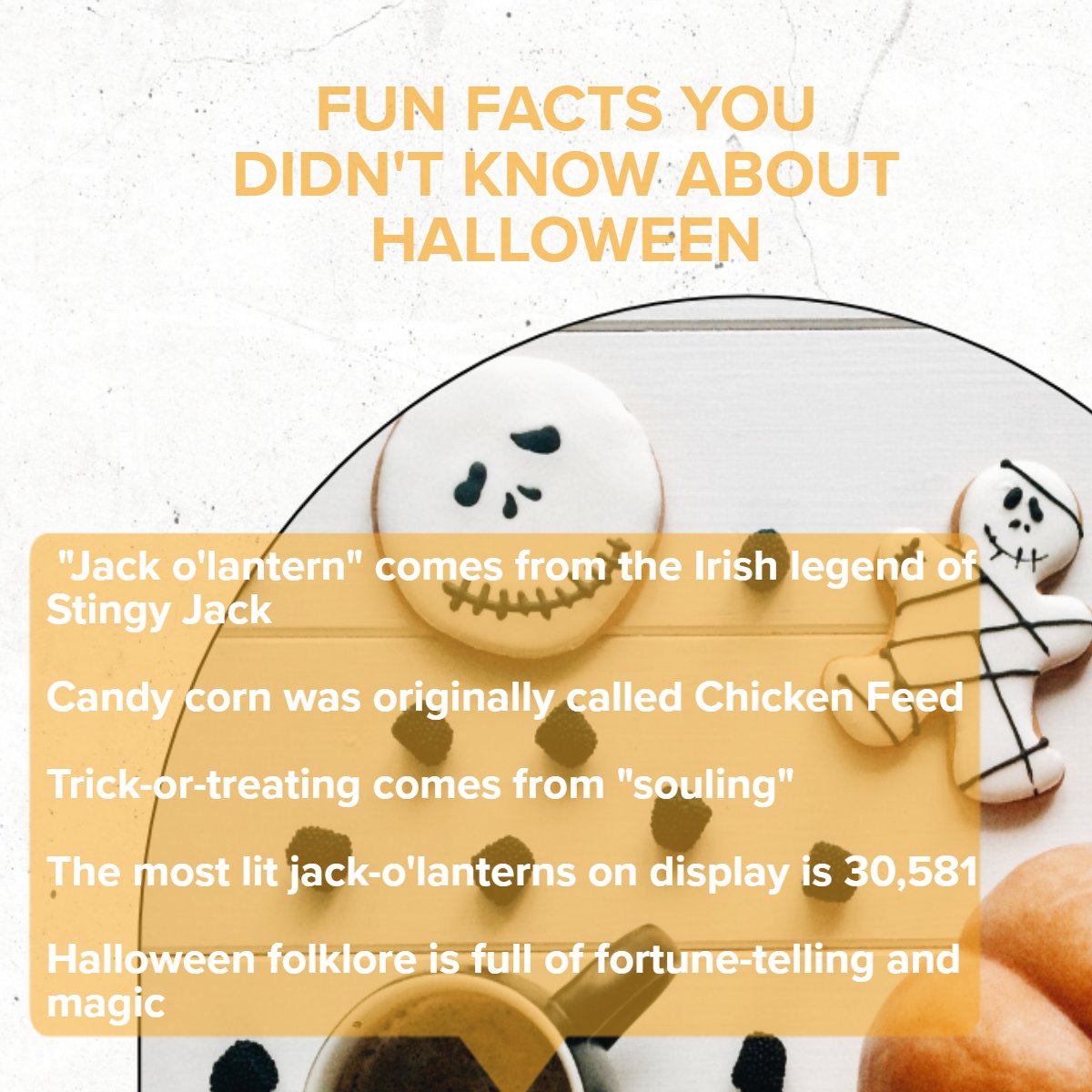 gweldon's tweet image. Which one is your favorite? 🎃

Let us know below!

#halloween   #fall   #autumn   #spooky