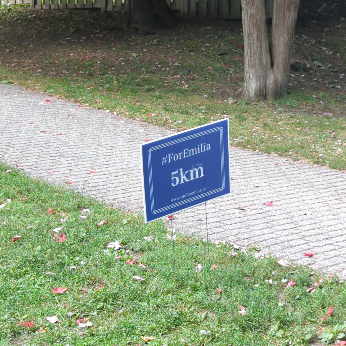 Bryan Piper tweet media