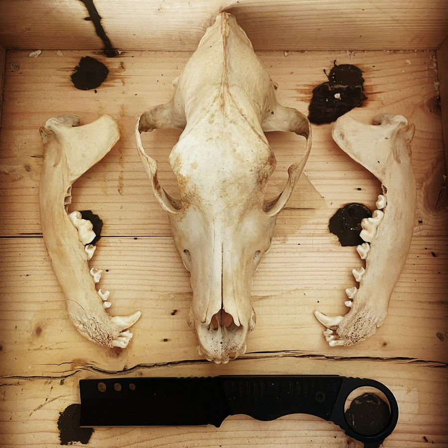 pregonermetall's tweet image. UPIR (Canadà) presenta nou àlbum: "Threads of Sei​ð​r - Seeing Under Starlight" #Upir #BlackMetal #Setembre2023 #Canadà #NouÀlbum #Metall #Metal #MúsicaMetal #MetalMusic