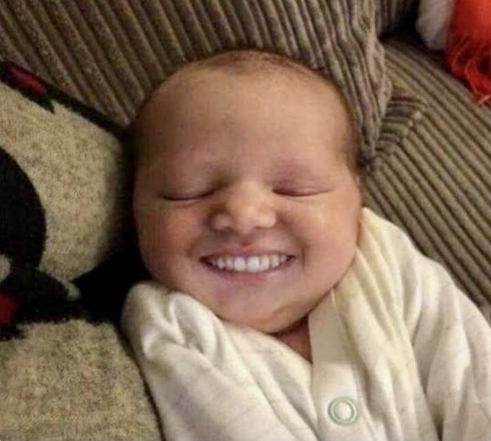 NEFERTITI tweet media