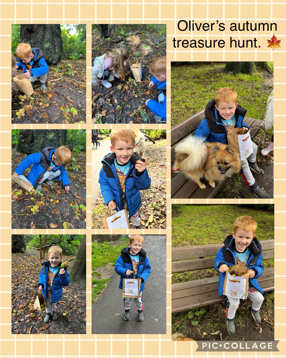 Gill Riley tweet media