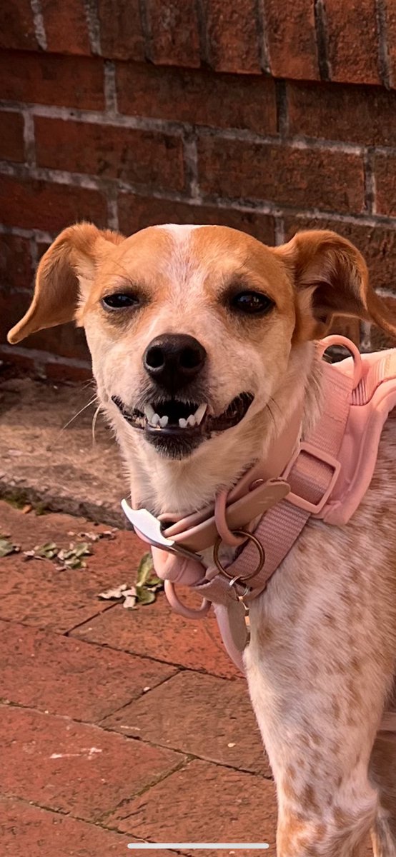 ladies and gentlemen…Her