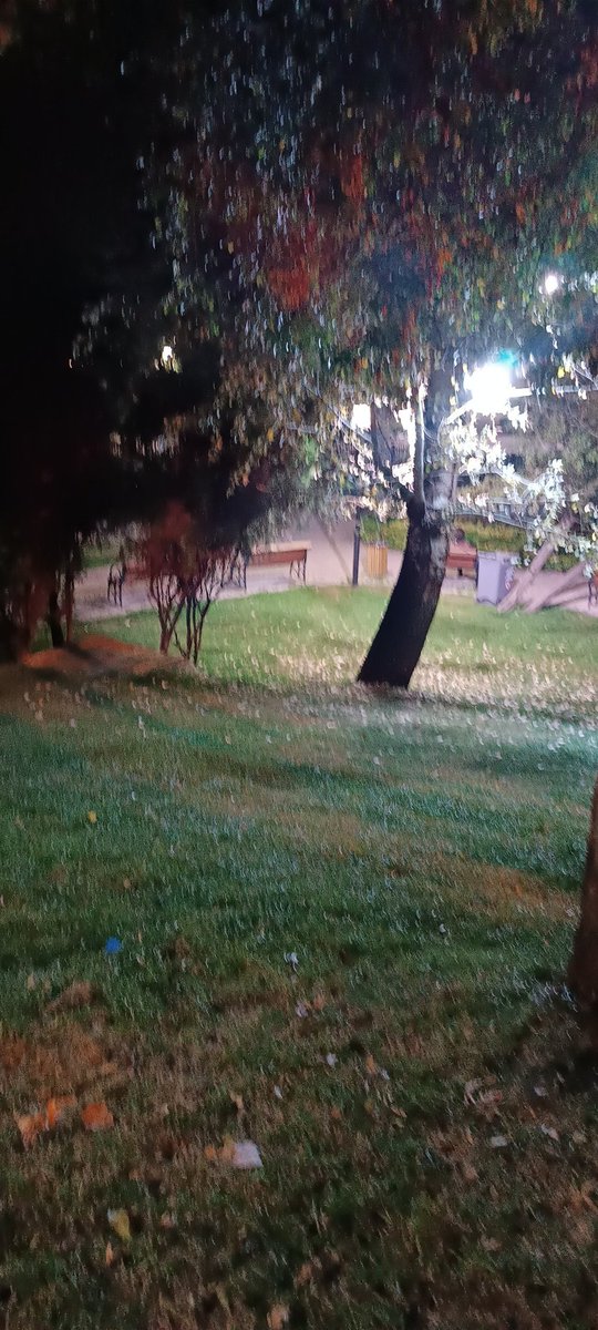 Kuğulu bu sefer yalnız....Çift sonrası...🍆