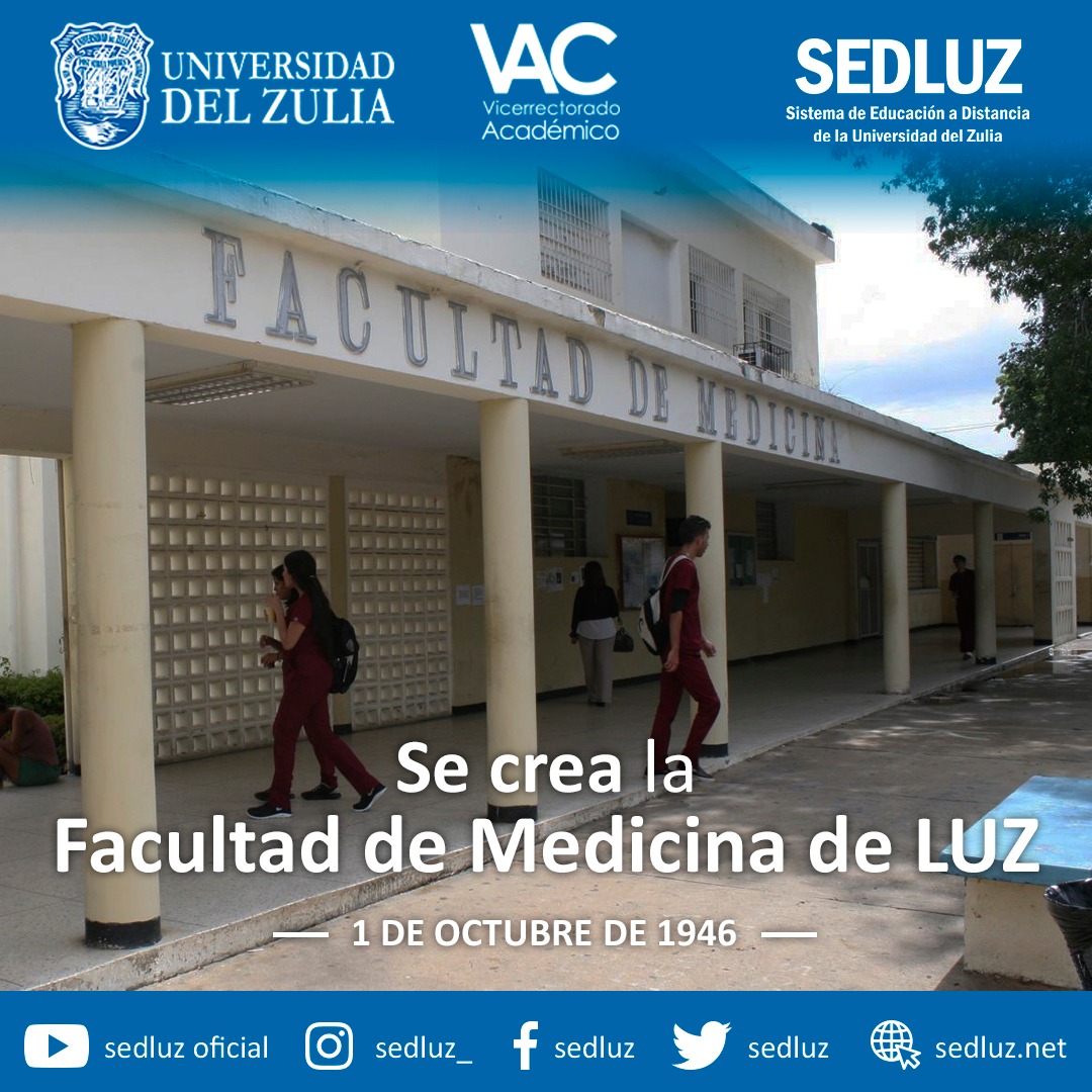 SEDLUZ tweet media