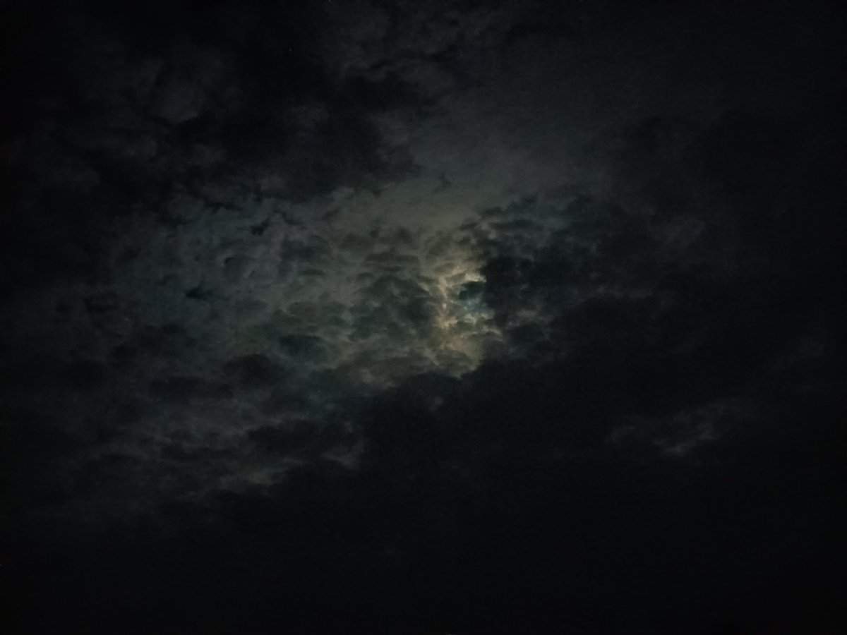 the_aditya77's tweet image. The clouds between Me and Moon 🌕

DATE : 01-10-2023 ( SUNDAY ) 
LOCATION : UTTAR PRADESH,INDIA 🇮🇳

#Moon #CloudyMoon #ClearSky