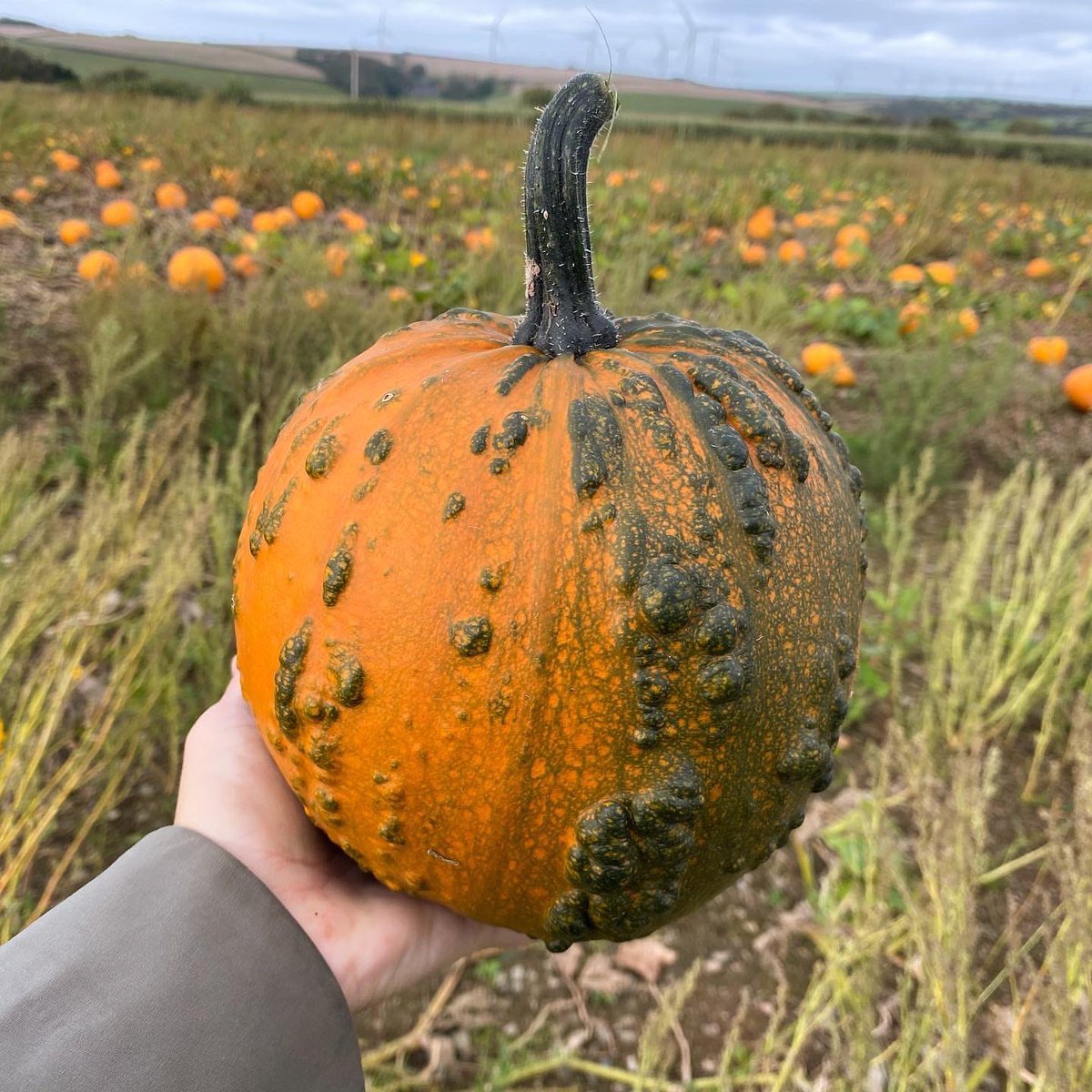 Back to Earth tweet media