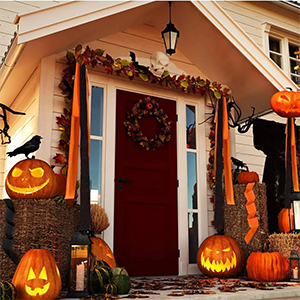 👻 Spook-tacular Decor Awaits You!

Prepare for your Halloween party with these terrifyingly trendy decorations and supplies.

Explore our unique collection of Halloween stickers, mugs, and so much more for your frightening festivities today!

pulse.ly/c1fikcol7u