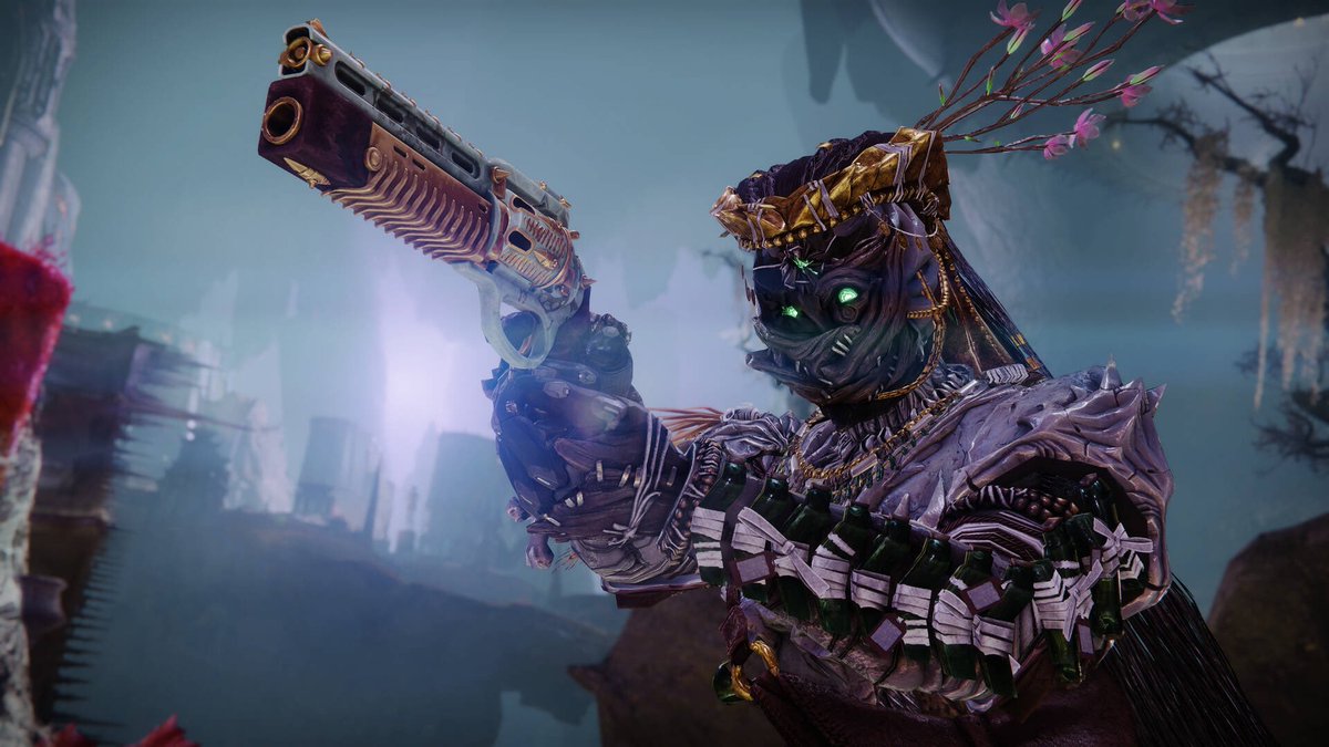 DestinyTracker🚀 tweet media