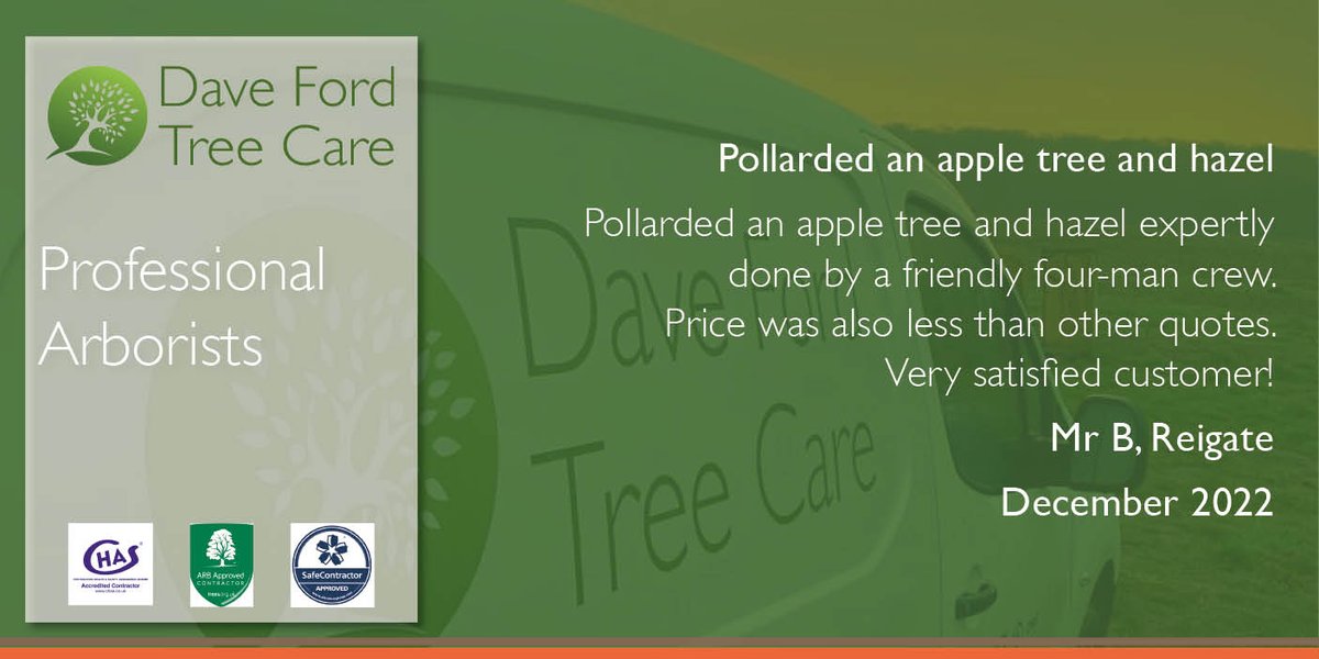 DFordTreeCare's tweet photo. 🌳 #TreePollarding is used to control a younger tree’s future size & shape. Pollarding is typically carried out in late winter or early spring & would need to be carried out every couple of years to prevent problems.
https://t.co/gytG7NiC6m
#DorkingTreeSurgeon #DorkingArborists https://t.co/4TXHYENZaz