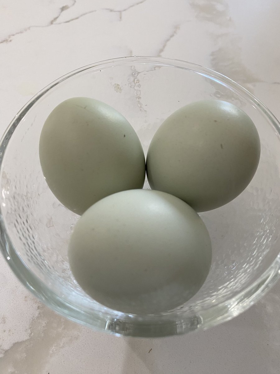 Mario Gutierrez tweet media