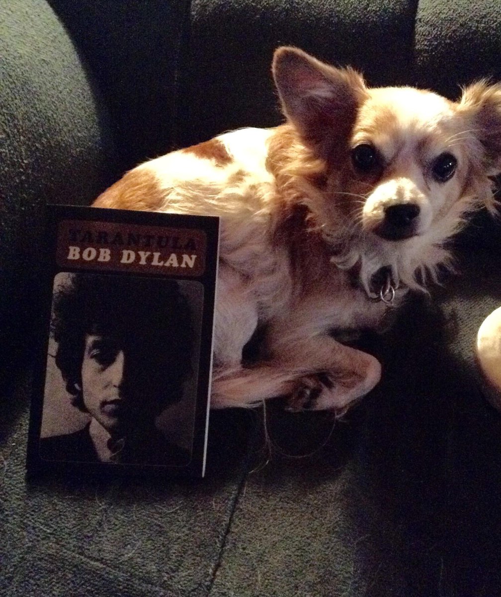 VendettaZen's tweet image. I lost the love of my life last night. Alexander Lee ‘Alee’. We saved each others lives 15 years ago and kept doing it every day since. 17 years on this planet. I’m demolished. I love you forever, butter bean..