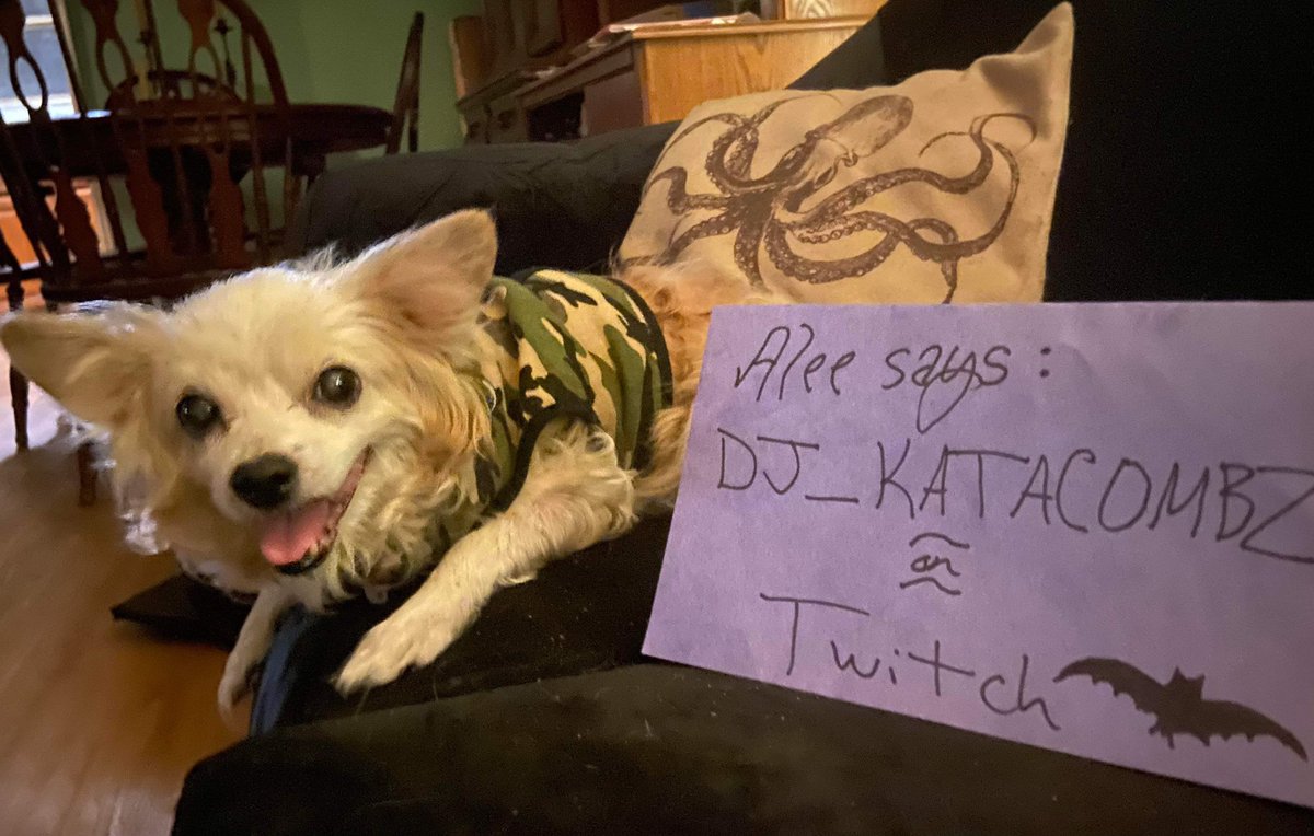 VendettaZen's tweet image. I lost the love of my life last night. Alexander Lee ‘Alee’. We saved each others lives 15 years ago and kept doing it every day since. 17 years on this planet. I’m demolished. I love you forever, butter bean..