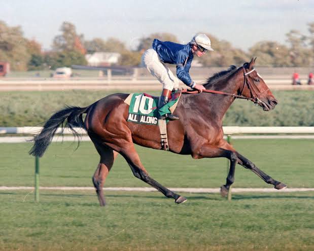 ALL ALONG🇫🇷1979
(TARGOWICE - AGUJITA BY VIEUX MANOIR)#AllAlong
B/ Dayton Limited(Fr) Apr 17, 1979.
O/ Daniel Wildenstein 
T/ Patrick Biancone
21-9-4-2---$2,125,828
1983 champion 🏆older mare🇫🇷,champion Turf horse and Horse of the year🇺🇸 .
1984 champion older mare 🇫🇷.