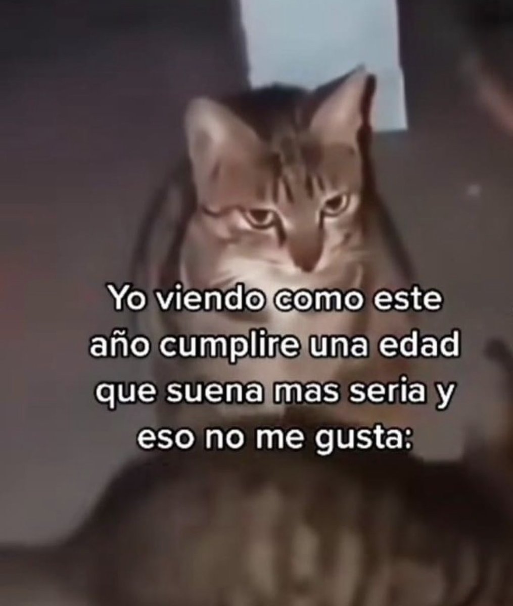 Guarromantico_'s tweet photo. https://t.co/7dhsIOepCD