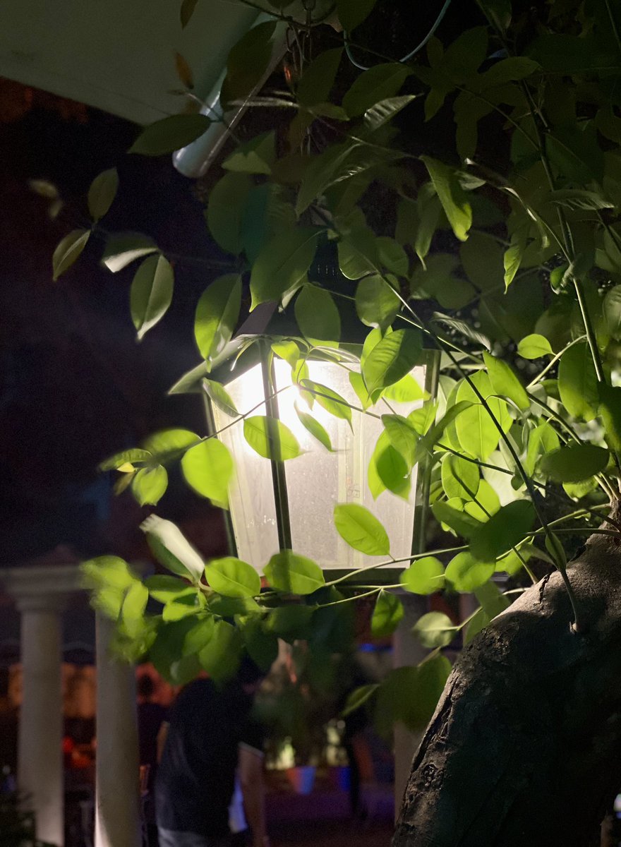 gsushma55's tweet image. एक शाम आपके साथ और भी हसीन! 

#Sush_Click!♥️