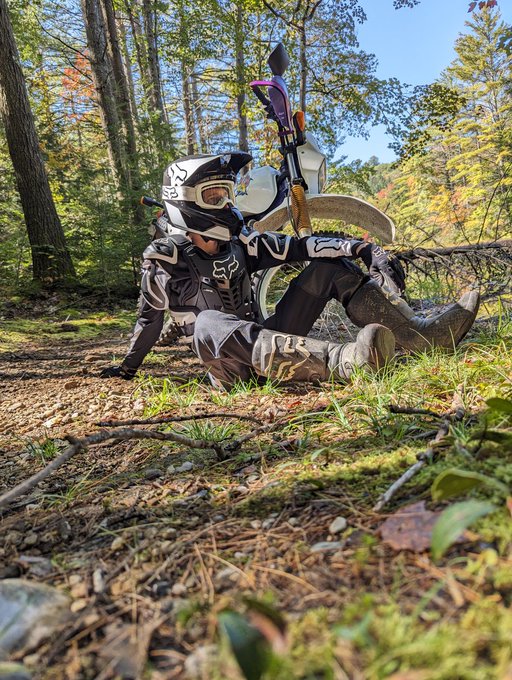 New Hampshire, free and beautiful. Fall weather, not hot and not cold, no bugs. Come join me. https://t<a href="/tag/instincts"class="tags"><span>#instincts</span></a>