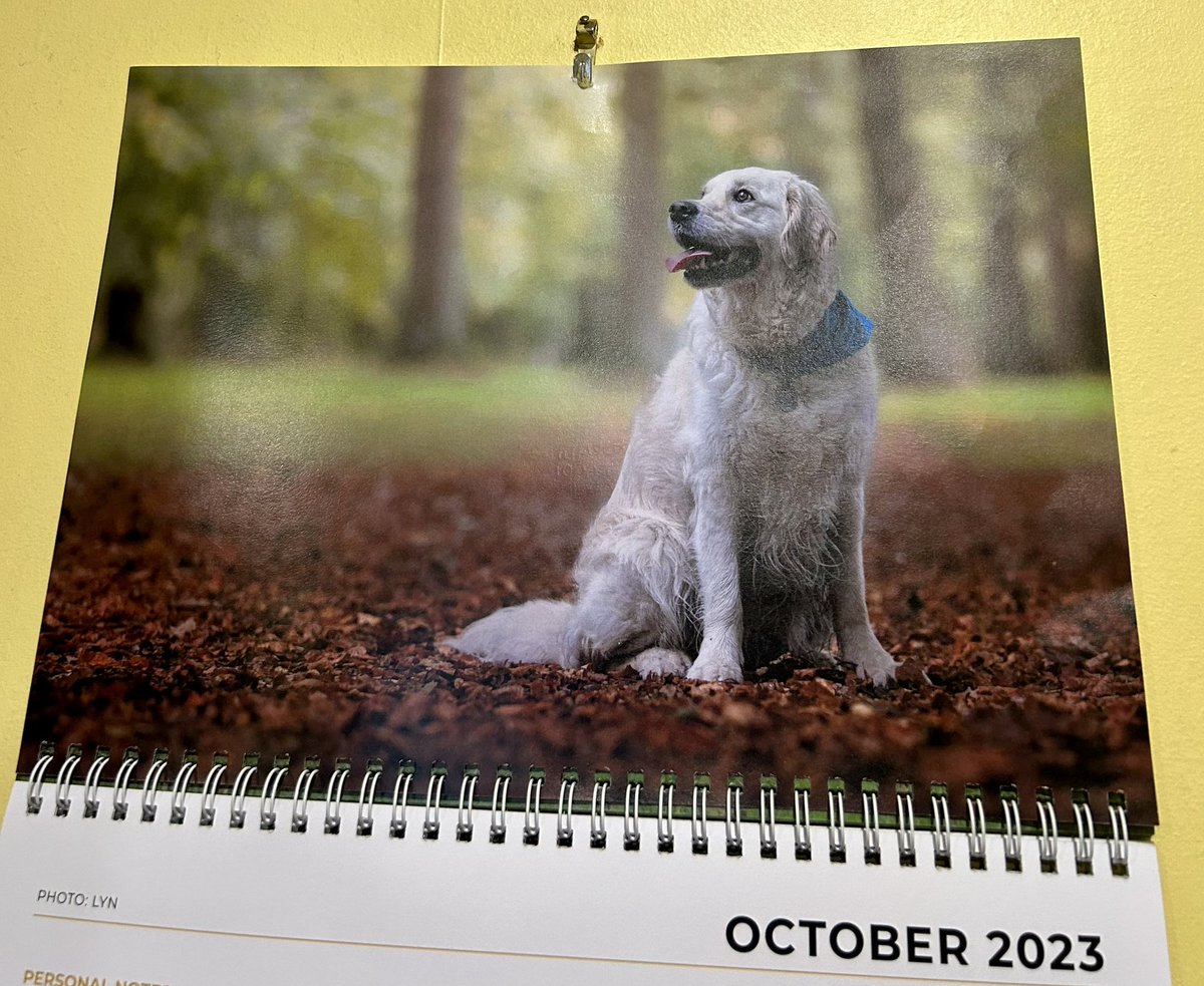 I’m Miss #October 
#Bravehound #calendar #calendargirl #happyoctober #HappyOctober1