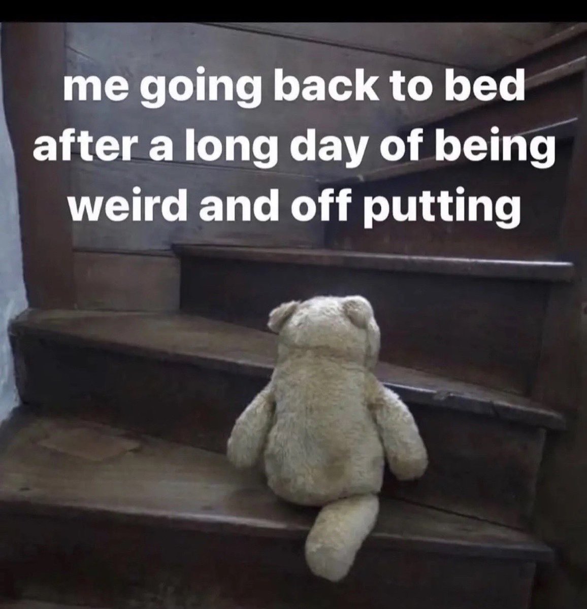 SensitiveHaze's tweet image. 