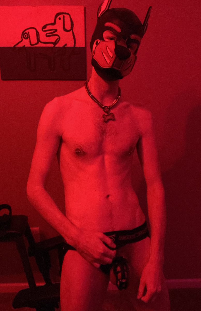Pup Zink tweet media